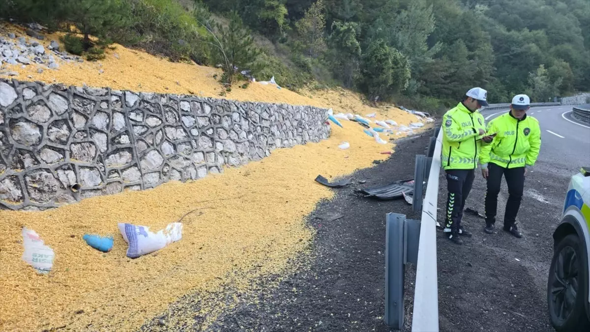 bursa inegolde hayvan yemi yuklu tir devrildi 2 agir yarali TsR7VAPN