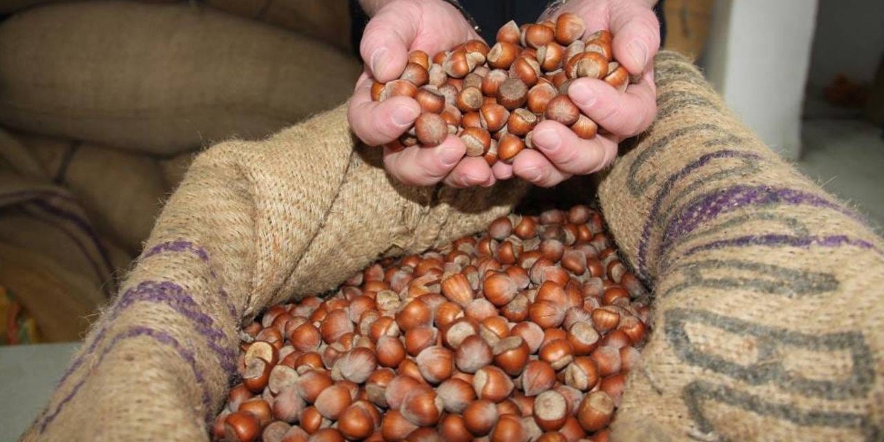 findiktan 1 milyar 610 milyon 163 bin gelir atabpk7Q.jpg