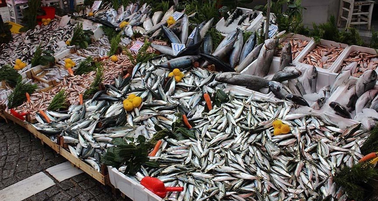 hamsi ucuzladi mezgit istavrit ve barbun da tezgahlarda yerini aldi gVCBqqR4.jpg