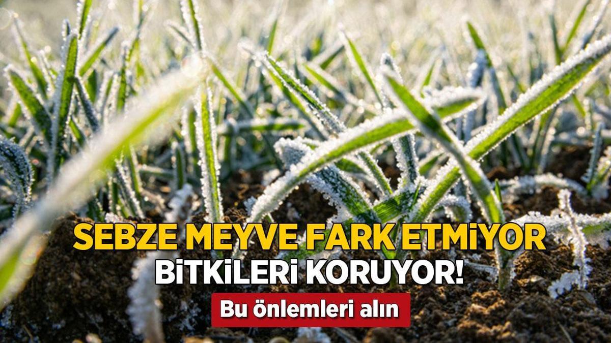 sebze meyve fark etmiyor hasari durduruyor bitkileri erken dona karsi koruyacak mDx7i1tW.jpg