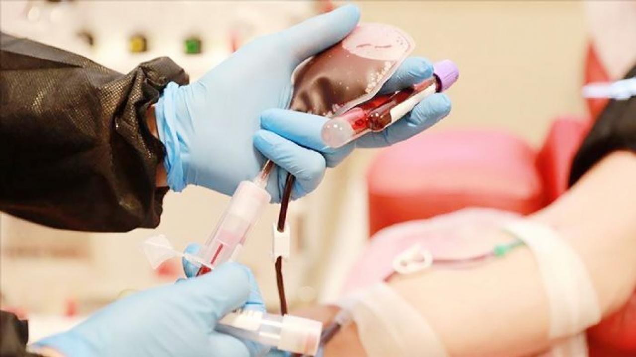 bir bagis bir hayat kok hucre bagisiyla hayat yeniden basliyor 9YAsVEQx.jpg