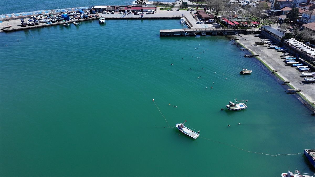 Balıkçılık Sezonu Beklentileri Karşılamadı: Gelecek İçin Umutlar Sürüyor