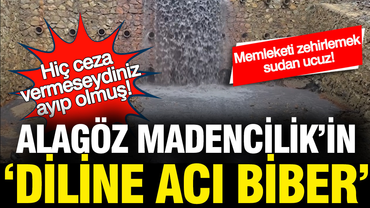 alagoz-madencilikin-diline-aci-biber-hic-ceza-vermeseydiniz-ayip-olmus-wVfei8NJ